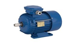 Silnik 3 fazowy SKh 56X-4C2 B14/2 P-0,12kW n-1500rpm U-230/400V f-50Hz S1 IP54 IE1 BESEL
 (9/80)