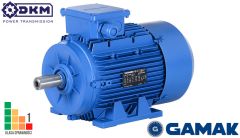 Silnik elektryczny 3 fazowy AGM2EL 80 M 4a IE2 0,55kW 1400 80B5, IP55, Klasa Izo.F  (19/200)