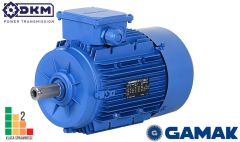 Silnik elektryczny 3 fazowy C.AGM2EL 90 L 2c 3,0kW 2800 90B3 IP55 S3-60%, Klasa Izo.F (24/łapy)